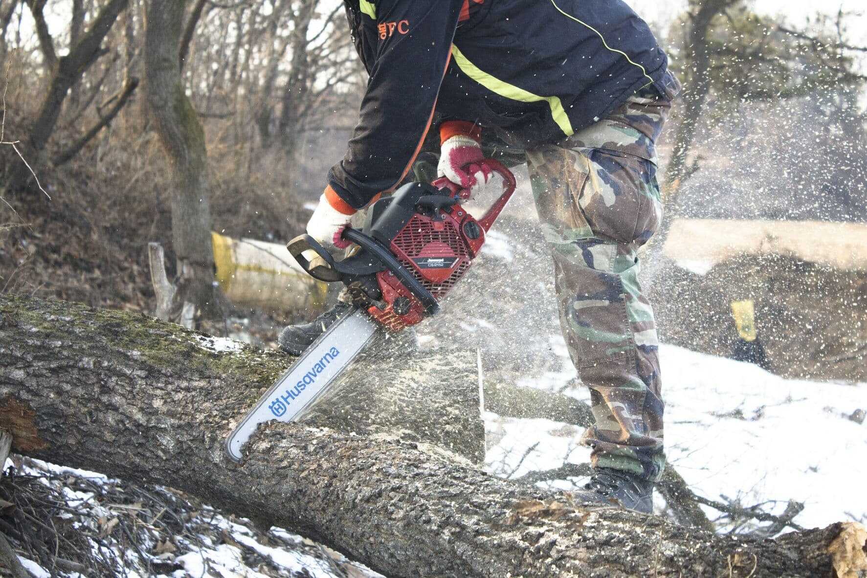 Kvůli briketám nekácíme stromy
